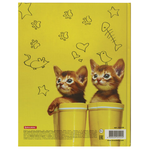 Дневник 1-4 класс 48 л., твердый, BRAUBERG, блестки, с подсказом, «Котята», 105538