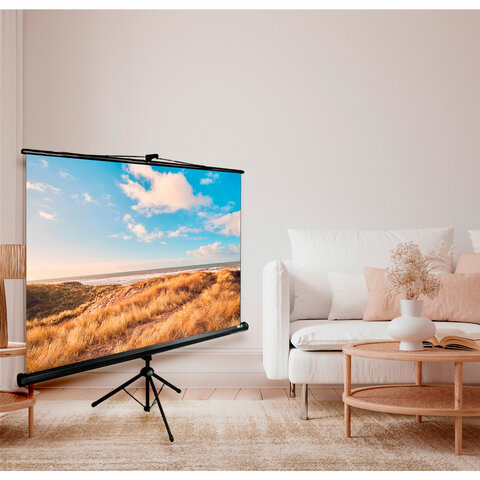 Экран Cactus Triscreen CS-PST-180×180, 180×180 см, 1:1, напольный, черный