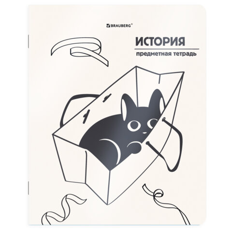 Тетради предметные, КОМПЛЕКТ 12 ПРЕДМЕТОВ 48 л., пластиковая обложка, BRAUBERG «КОТ-НЕПОСЕДА»