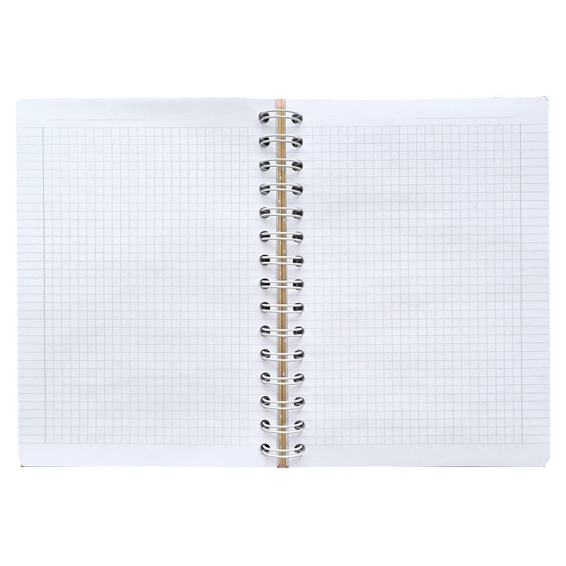 Бизнес-тетрадь А5.120л, клетка, спираль, тв. обл, Be Smart, Soul, N3686