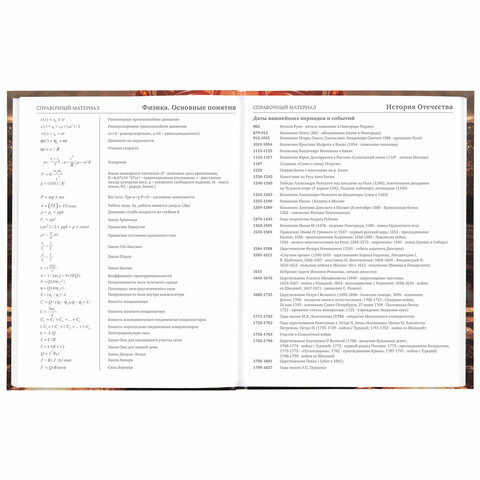 Дневник 5-11 класс 48 л., твердый, BRAUBERG, глянцевая ламинация, с подсказом, «Байк»