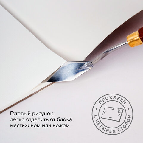 Папка для акварели/планшет, 300 г/м2, 270×390 мм, склейка, крупное зерно, 20 л., BRAUBERG ART PREMIERE