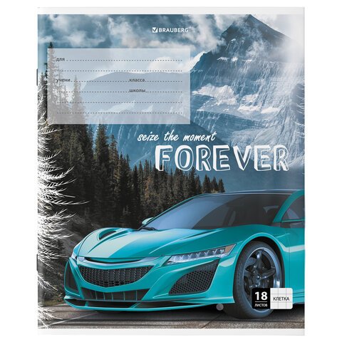 Тетрадь 18 л. BRAUBERG клетка, обложка картон, «SPORTS CAR»