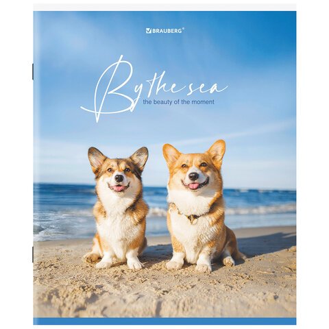Тетрадь А5, 80 л., BRAUBERG, скоба, клетка, «By the Sea»