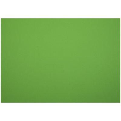 Картон плакатный 48×68см, Мульти-Пульти, 10л., мелованный в пакете, зеленый, 380г/м2