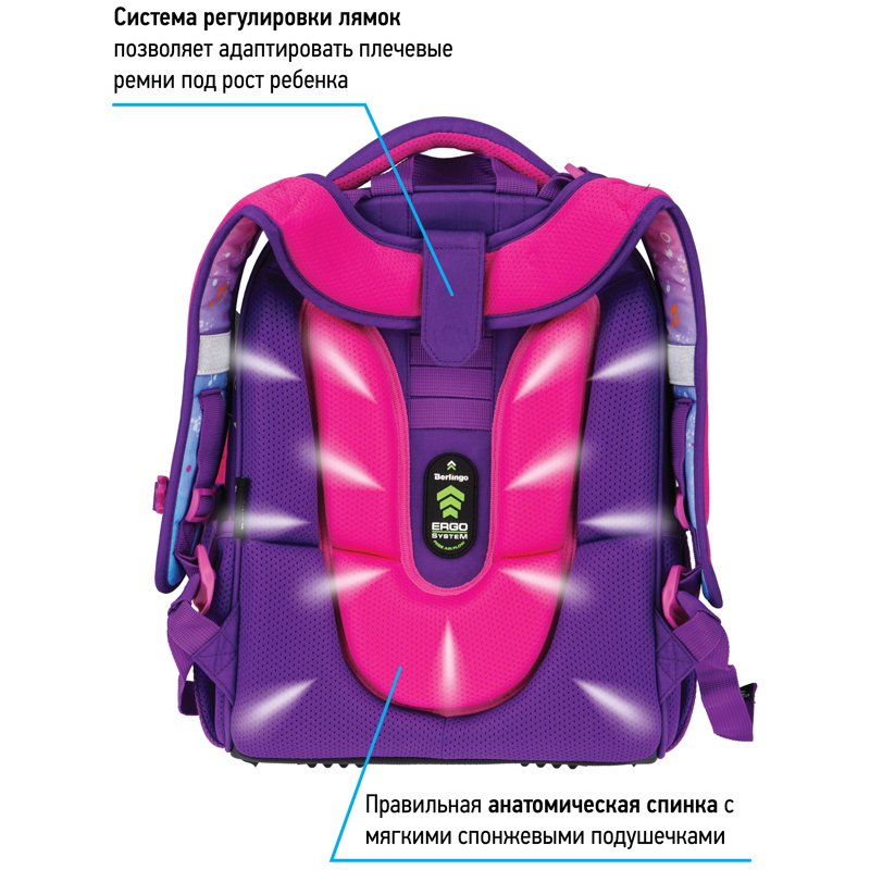 Ранец Berlingo Expert «Husky boy» 37×28×16см, 2 отделения, 2 кармана, анатомическая спинка