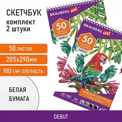 Скетчбук-блокнот для рисования белая бумага 100 г/м2, 205×290 мм, 50 л., КОМПЛЕКТ 2 шт., BRAUBERG