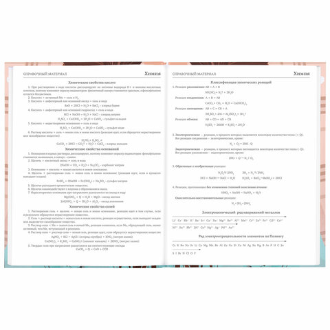 Дневник 5-11 класс 48 л., твердый, BRAUBERG, глянцевая ламинация, с подсказом, «Summer girl»