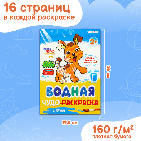 Раскраски «Для мальчиков и девочек №1»КОМПЛЕКТ 12 шт. А4214×290 мм16 стр. лиц