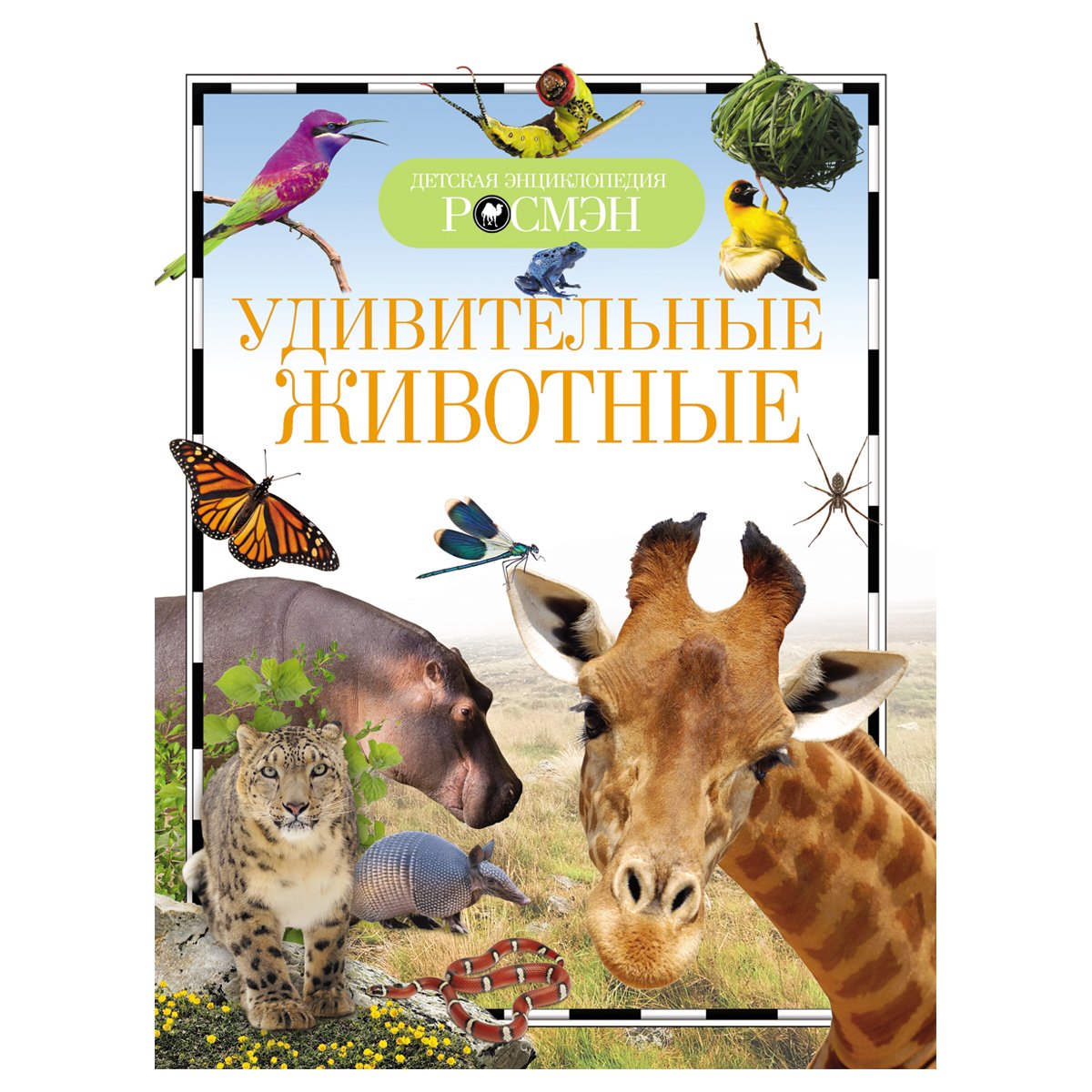 превью Энциклопедия Росмэн 170×220, «Детская энциклопедия Росмэн. Удивительные животные», 96стр., 10+
