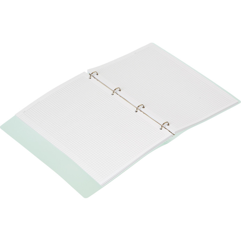 Бизнес-тетрадь Attache Rainbow Style A4 на кольцах, смен. блок, зе... 