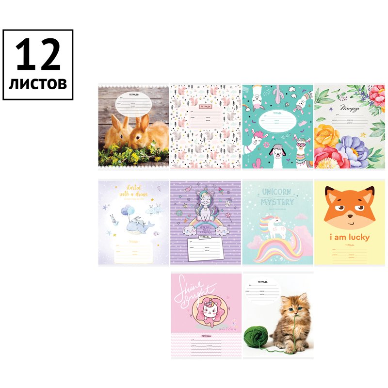 Тетрадь 12л., частая косая линия ArtSpace «Микс. Для девочек»