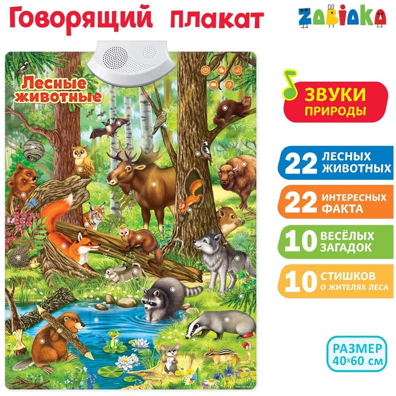 превью Говорящий плакат ZABIAKA «Лесные животные», картонная коробка