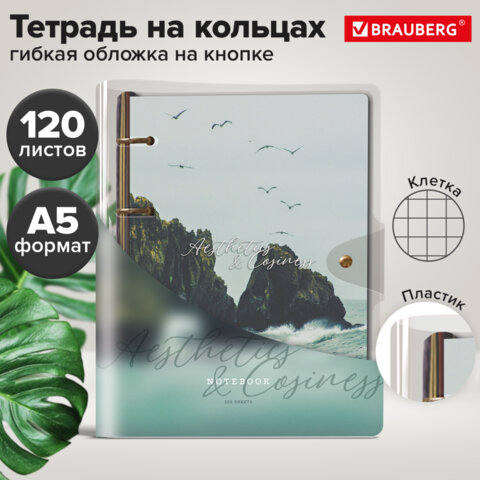 Тетрадь на кольцах А5, 180×220 мм, 120 л., гибкий пластик, клапан, BRAUBERG, «Море и скалы»