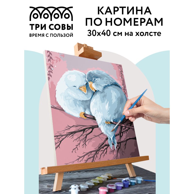 Картина по номерам на холсте ТРИ СОВЫ «Милая пара», 30×40, с акриловыми красками и кистями