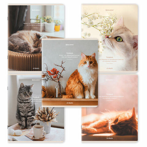 превью Тетрадь А5, 48 л., BRAUBERG, скоба, клетка, матовая ламинация, «Cats», (микс в спайке)