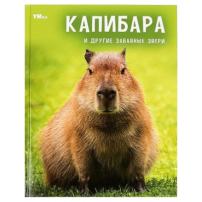 Энциклопедия Умка 197×255, «Капибара и другие забавные звери», 48стр. 