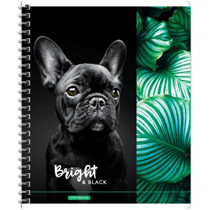 Тетрадь 80л., А5, клетка на гребне ArtSpace «Животные. Bright&black», глянцевый уф-лак