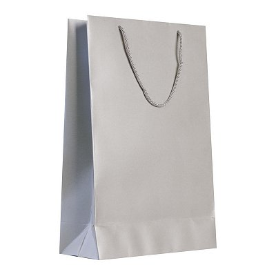 Пакет подарочный Блеск серебристый (35×23×10 см)