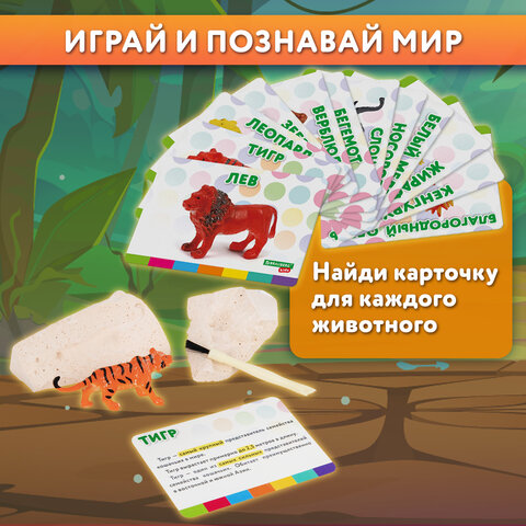 Набор для раскопок «Дикие животные»12 видовкарточкиинструментыBRAUBERG KIDS665128