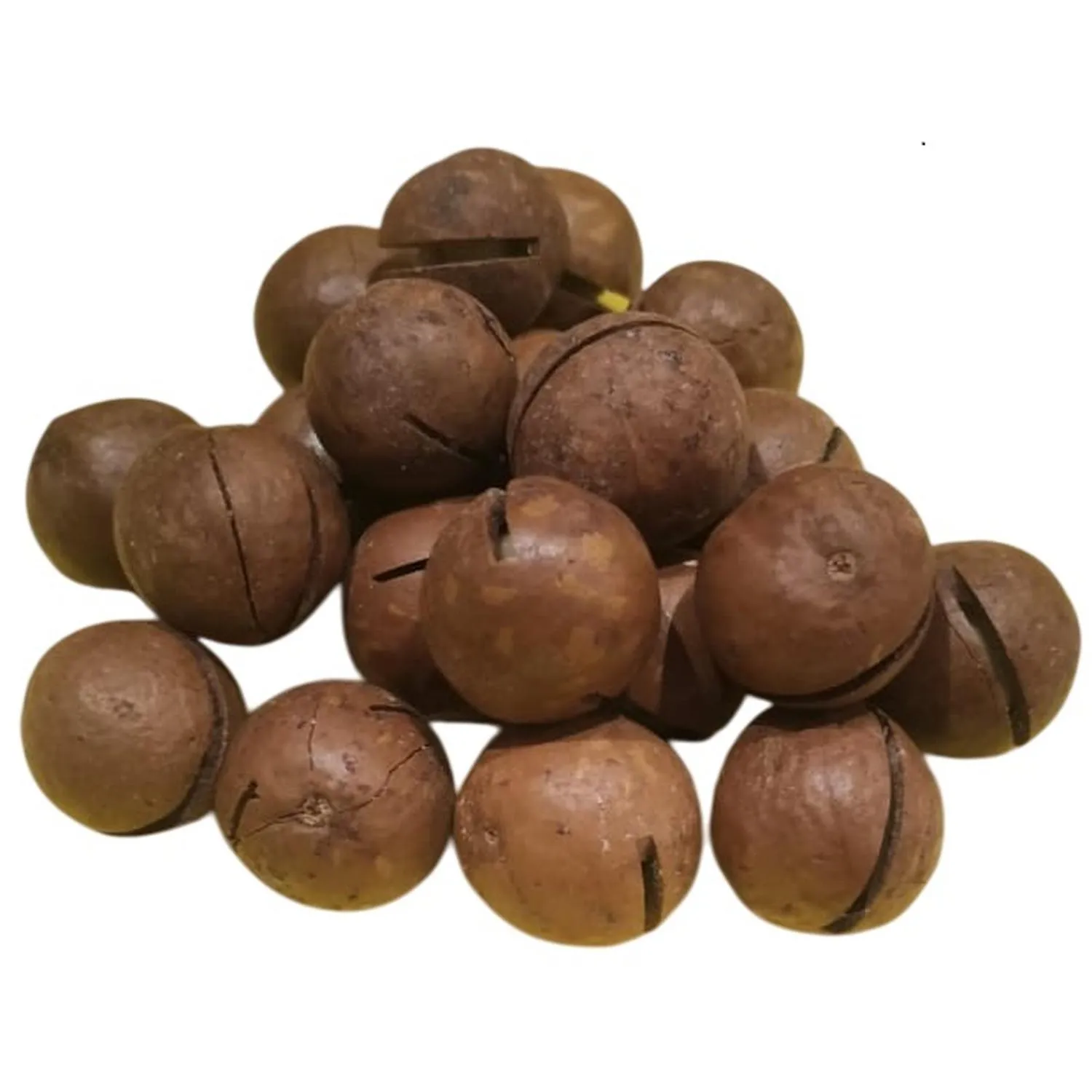 превью Макадамия орех неочищенный с ключом, 1 кг