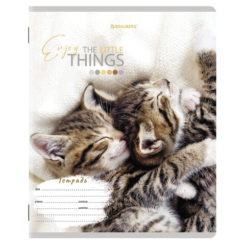 Тетради 12 л. КОМПЛЕКТ 10 шт. BRAUBERG, клетка, обложка картон, ПИТОМЦЫ