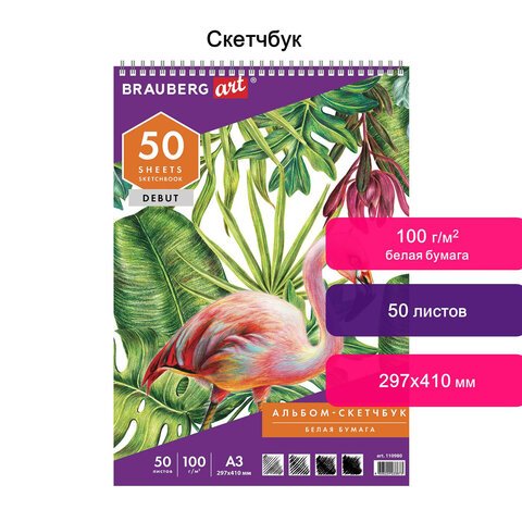 Скетчбук, белая бумага 100 г/м2, 297×410 мм, 50 л., гребень, жёсткая подложка, BRAUBERG ART «DEBUT», 110980