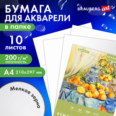 Папка для акварели А4, 10л., 200 г/м2, 210×297мм, BRAUBERG АКАДЕМИЯ, «Апельсины»