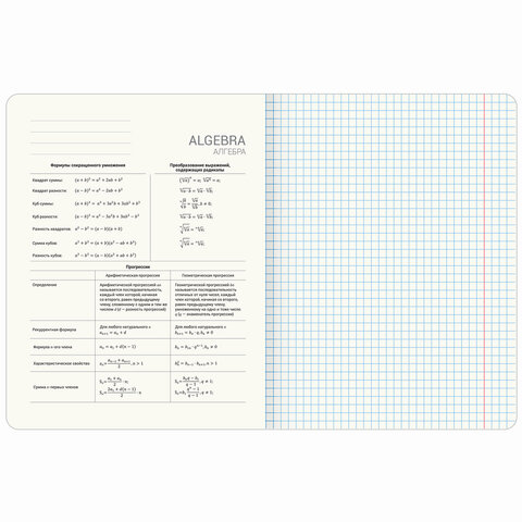 Тетради предметные, КОМПЛЕКТ 12 ПРЕДМЕТОВ, 48 л., TWIN лак, BRAUBERG «ДАТЫ»