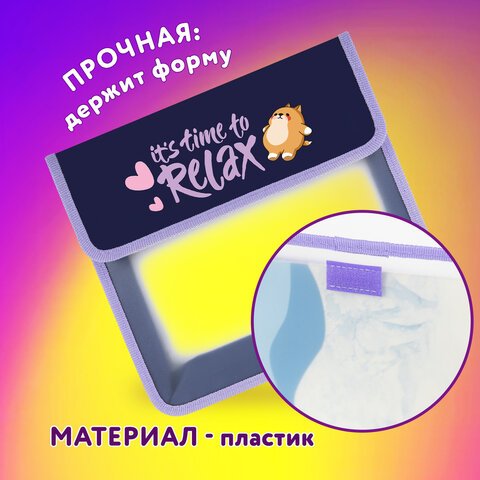 Папка для тетрадей ЮНЛАНДИЯ А5, пластик, 2 отделения, клапан на липучке, «Bored cat»