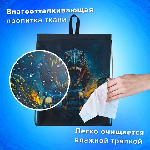 Мешок для обуви BRAUBERG KIDS, с петлей, 42×34 см, «Dino chase»