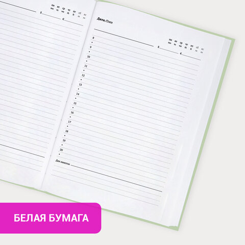 Ежедневник недатированный с резинкой А5 145×203 мм, BRAUBERG, твердый, 160 л., «Minimal», зеленый
