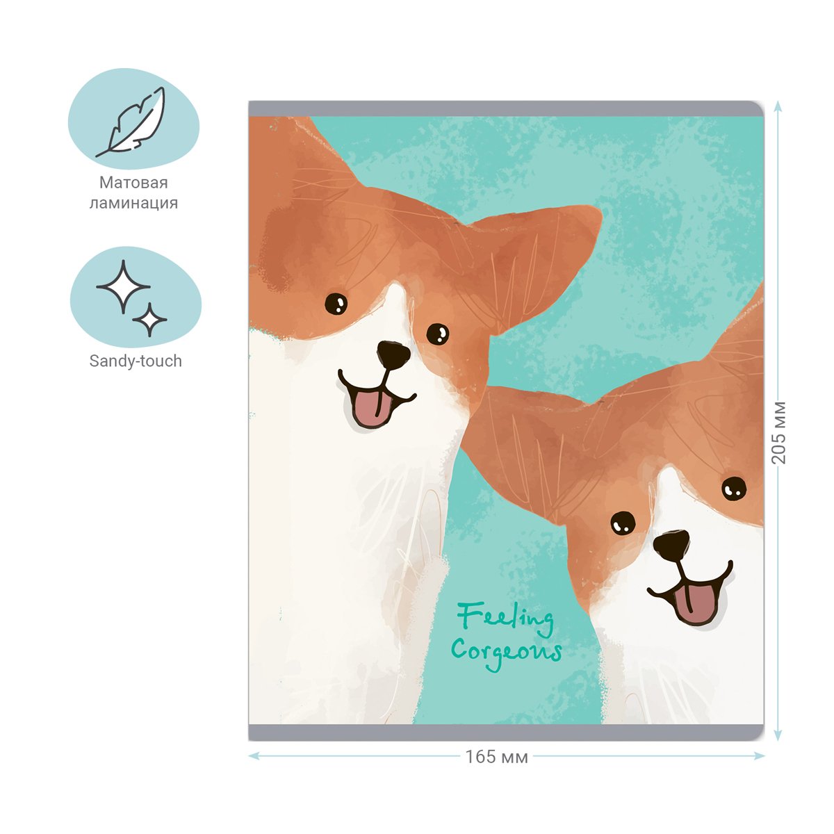 Тетрадь 48л., клетка MESHU «Funny dogs», матовая ламинация, sandy-touch