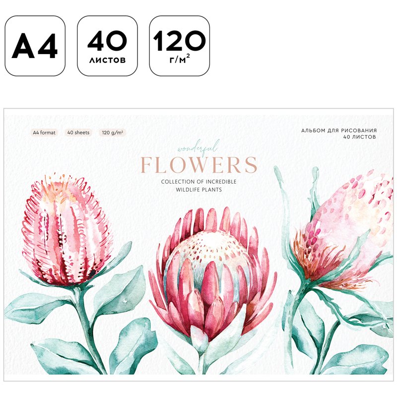 Альбом для рисования 40л., А4, на скрепке Greenwich Line «Flowers collection», 120 г/м2