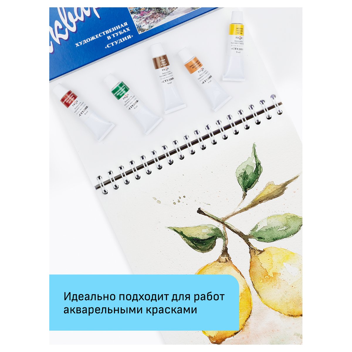 Альбом для акварели 24л., А5, на спирали Гамма «Студия», 200г/м2, среднее зерно