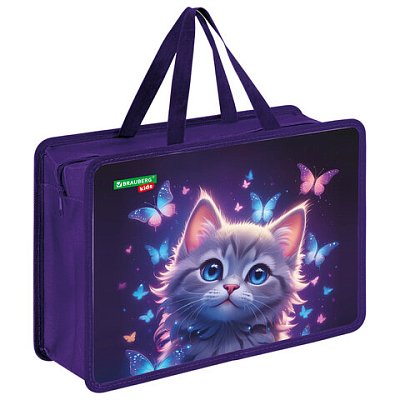 Папка на молнии с ручками BRAUBERG KIDS А4, 1 отделение, пластик, 100 мм, «Curious cat»