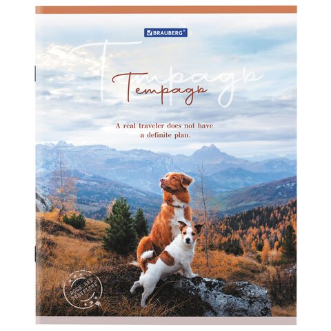 Тетрадь А5 48 л. BRAUBERG скоба, клетка, обложка картон, «Best Friends»