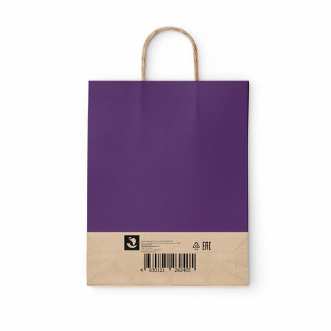 Крафт-пакет бумажный «Dark violet» 26×15х35 см, с кручеными ручками, 80 г/м2, моноцвет