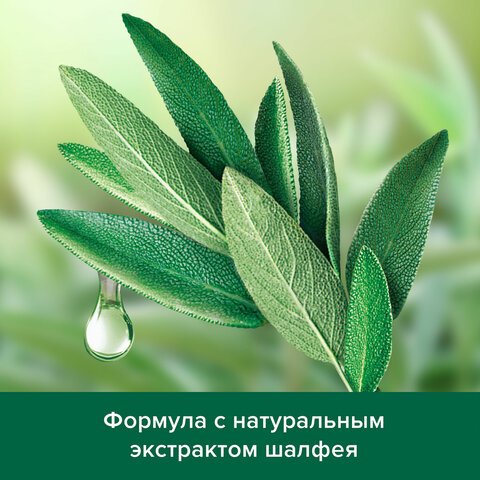 Шампунь мужской 450мл PALMOLIVE MEN «Экстракт шалфея», против перхоти, ш/к 56577