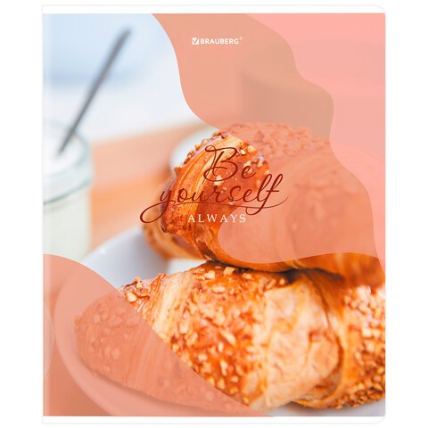 Тетрадь А5, 48 л., BRAUBERG, скоба, клетка, матовая ламинация, выборочный лак, «Sweets»