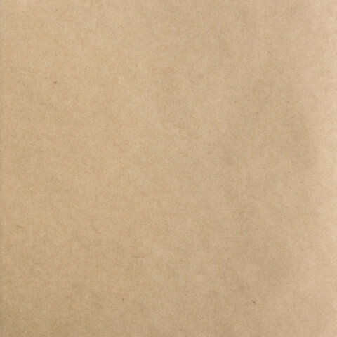 Альбом для рисования, крафт-бумага 70 г/м2, 198×198 мм, 40 л., склейка, BRAUBERG ART CLASSIC