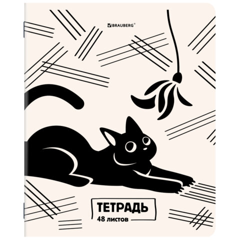 Тетради ДЭК А5 48 л. КОМПЛЕКТ 5 шт. BRAUBERG, скоба, клетка, TWIN-лак, «КОТ-НЕПОСЕДА»
