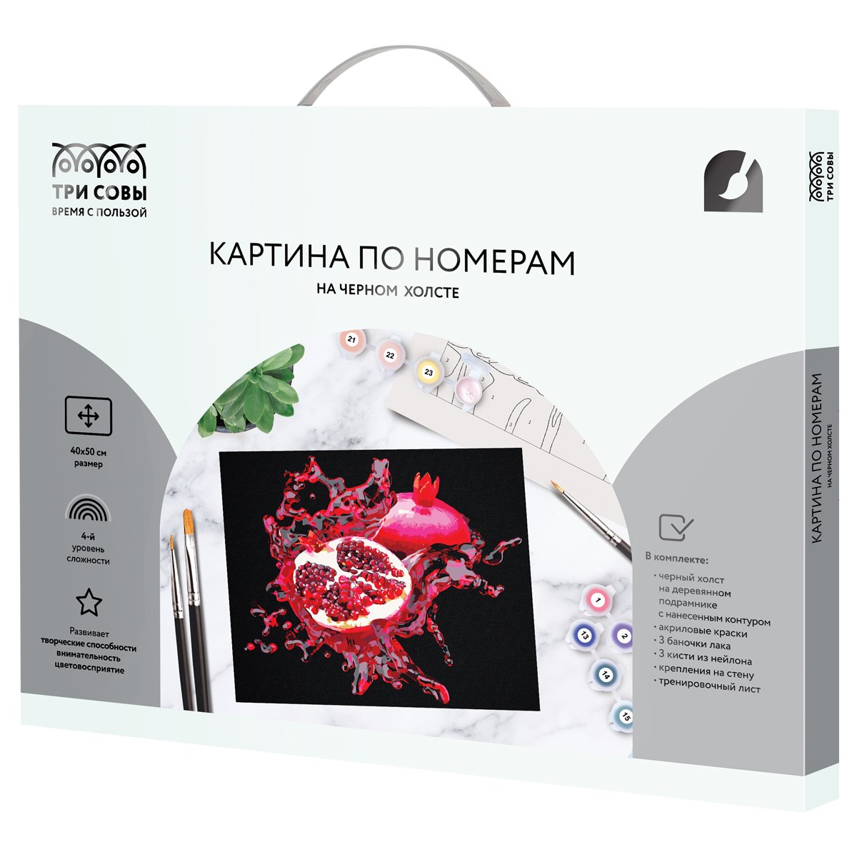Картина по номерам на черном холсте ТРИ СОВЫ «Сочный гранат», 40×50, c акриловыми красками и кистями
