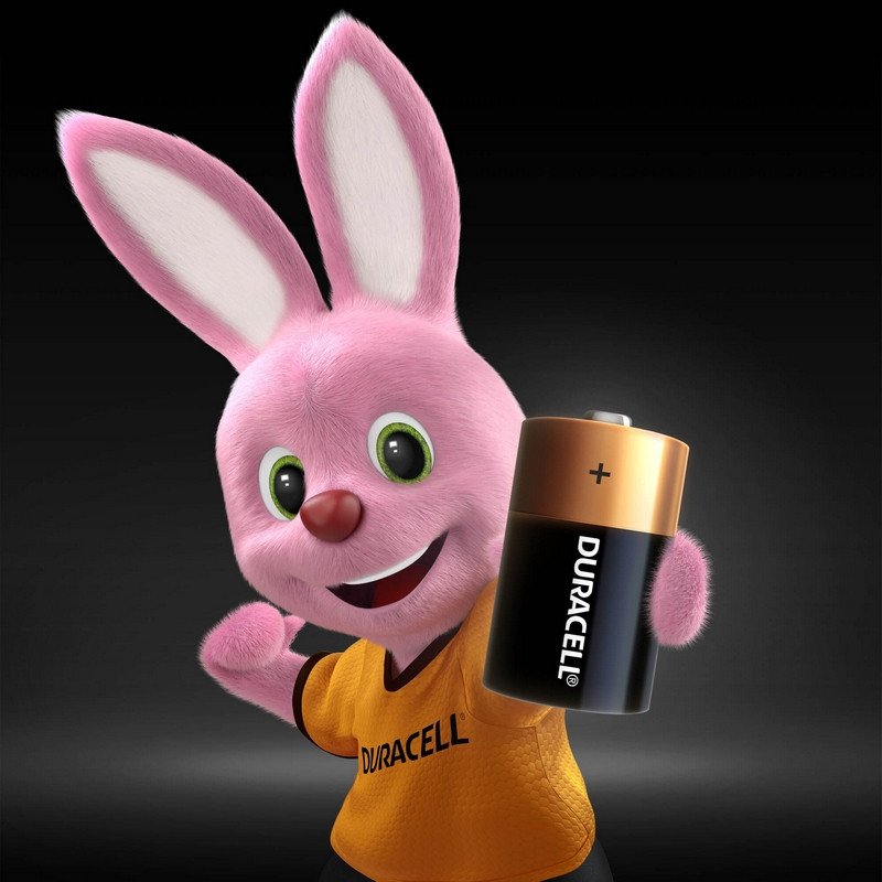 Батарейки Duracell D/373/LR20, 1.5В, алкалиновые, 2 шт. в блистере