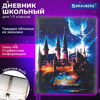 Дневник 1-11 класс 48 л., кожзам (твердая с поролоном), печать, цветной блок, BRAUBERG, «Замок»