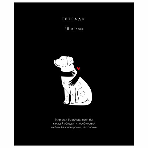 Тетрадь А5 48 л. ПЗБМ, скоба, клетка, матовая ламинация, брайль, «Всё, что тебе нужно» (микс в ПУ)