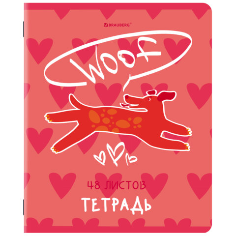 Тетради ДЭК А5 48 л. КОМПЛЕКТ 5 шт. BRAUBERG, скоба, клетка, TWIN-лак, «PINK MOOD»