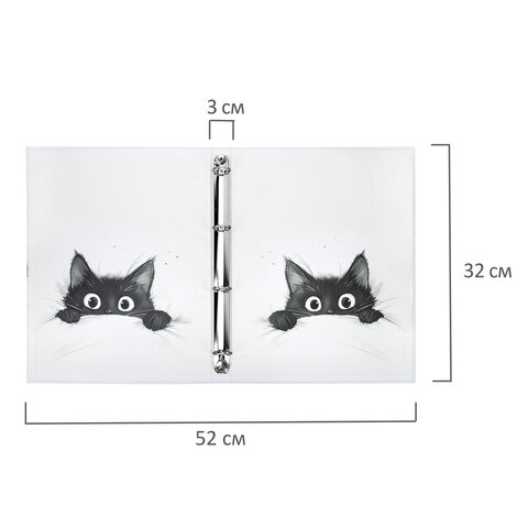 Папка-портфолио универсальная, 4 кольца, 20 файлов, 7БЦ матовая, BRAUBERG «Cat», 107557