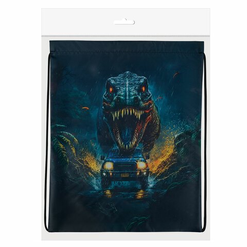 Мешок для обуви BRAUBERG KIDS, с петлей, 42×34 см, «Dino chase»