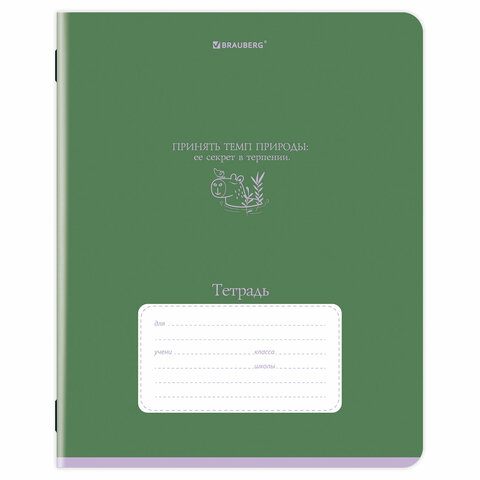 Тетради ДЭК 12 л., КОМПЛЕКТ 10 шт., BRAUBERG, клетка, обложка картон, «PHRASES»
